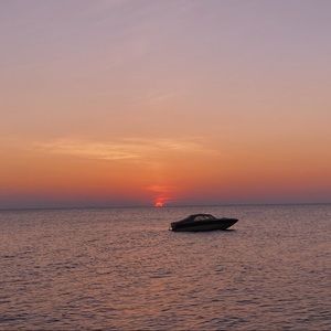 Meet your Posher, Nora